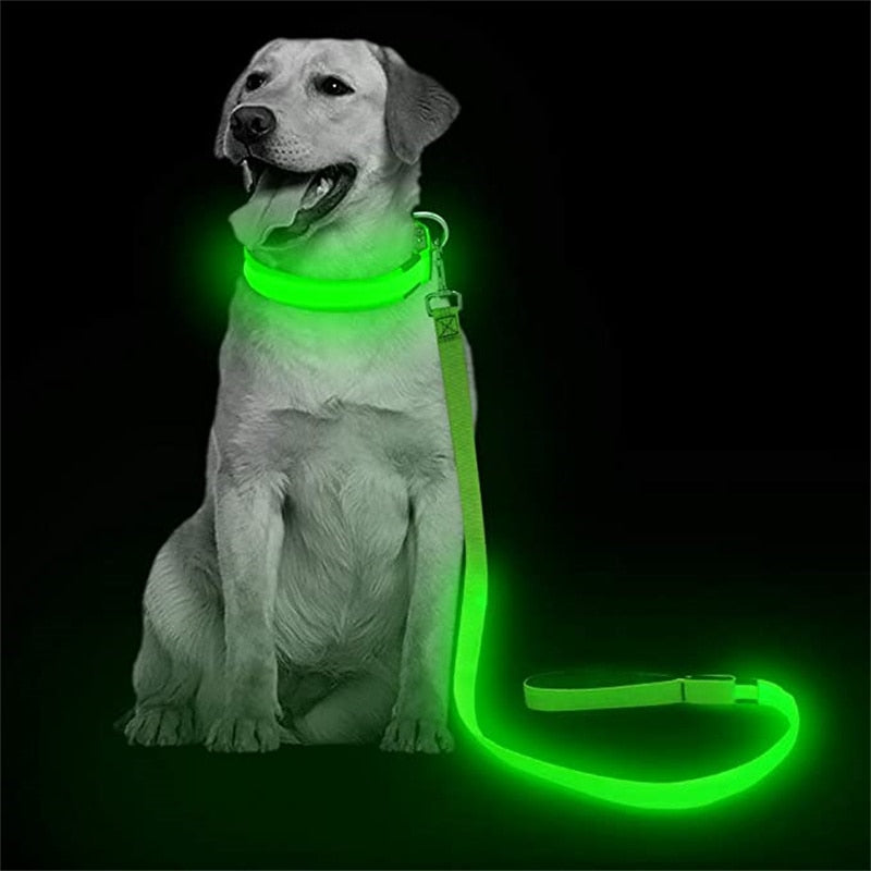 LumiLeash Világító LED Nyakörv Kutyáknak