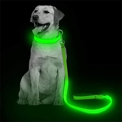 LumiLeash Világító LED Nyakörv Kutyáknak
